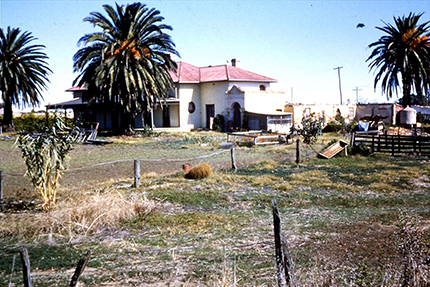 The cottage